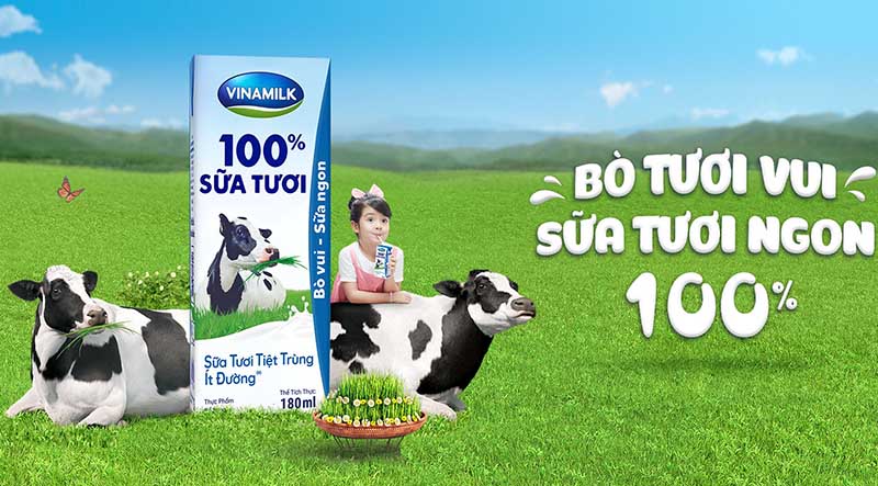 Chiến lược chi phí thấp của Vinamilk Chiến lược chi phí thấp của Vinamilk