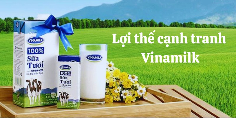 lợi thế cạnh tranh của vinamilk lợi thế cạnh tranh của vinamilk