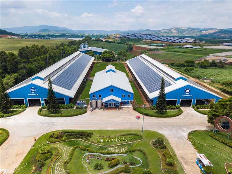 cơ hội của vinamilk cơ hội của vinamilk