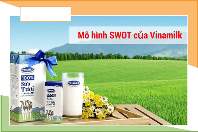 phân tích chi tiết mô hình swot của vinamilk phân tích chi tiết mô hình swot của vinamilk