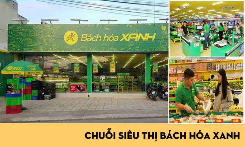 chiến lược của bách hóa xanh chiến lược của bách hóa xanh