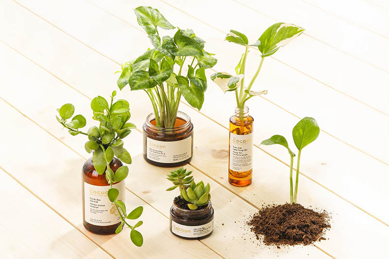 Chiến lược kênh phân phối của Cocoon Chiến lược kênh phân phối của Cocoon