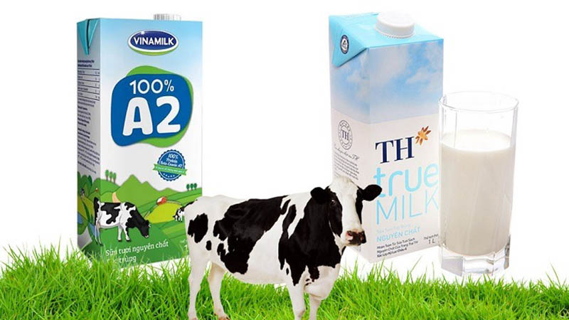 so sánh chiến lược của vinamilk và th true milk