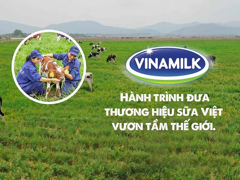 rủi ro trong chuỗi cung ứng của vinamilk