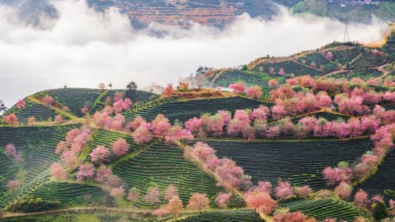 đối thủ cạnh tranh trong ngành du lịch là gì đối thủ cạnh tranh trong ngành du lịch là gì