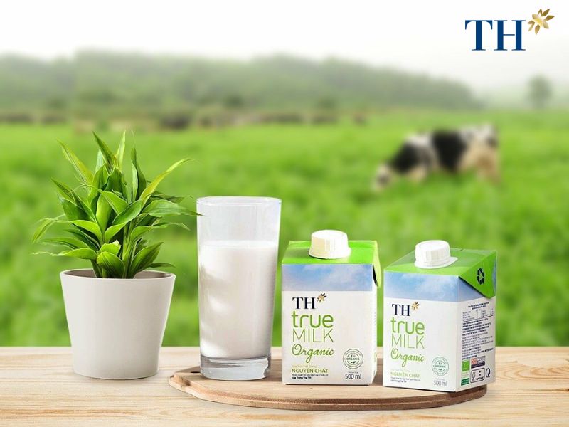 Th true milk là tên thương hiệu sữa sạch sẽ bên trên Việt Nam