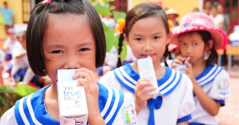  “Sữa học tập đường” - Chương trình phân phối key tài khoản của TH True Milk