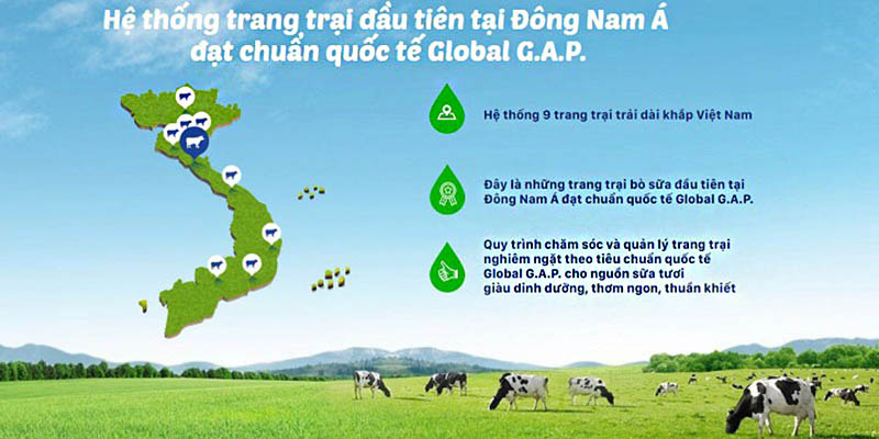 giải pháp cho kênh phân phối của vinamilk giải pháp cho kênh phân phối của vinamilk