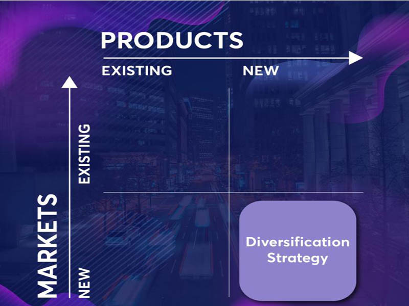 mô hình ansoff đa dạng hóa