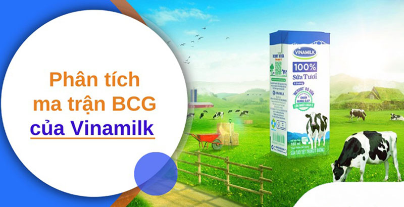 phân tích ma trận bcg của vinamilk phân tích ma trận bcg của vinamilk