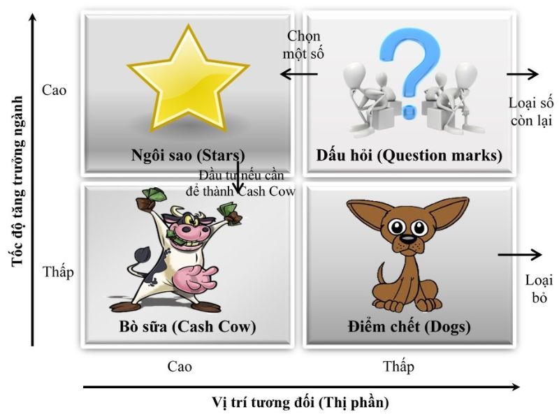 câu hỏi liên quan đến BCG