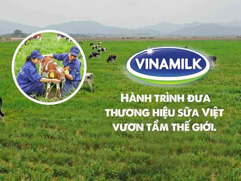 ma trận BCg của Vinamilk