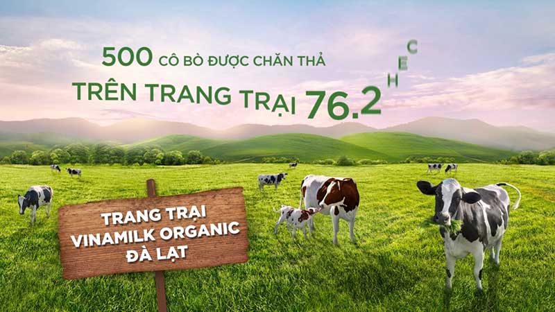 pestel vinamilk chi tiết 2023 pestel vinamilk chi tiết 2023
