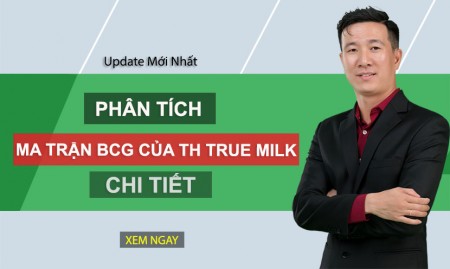 Phân tích ma trận bcg của TH True milk chi tiết 2024