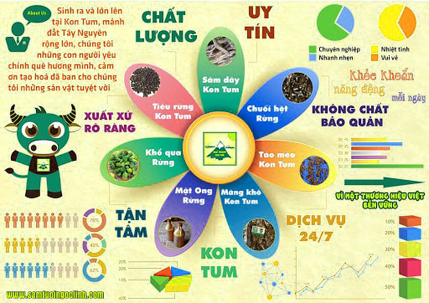 content marketing infographic