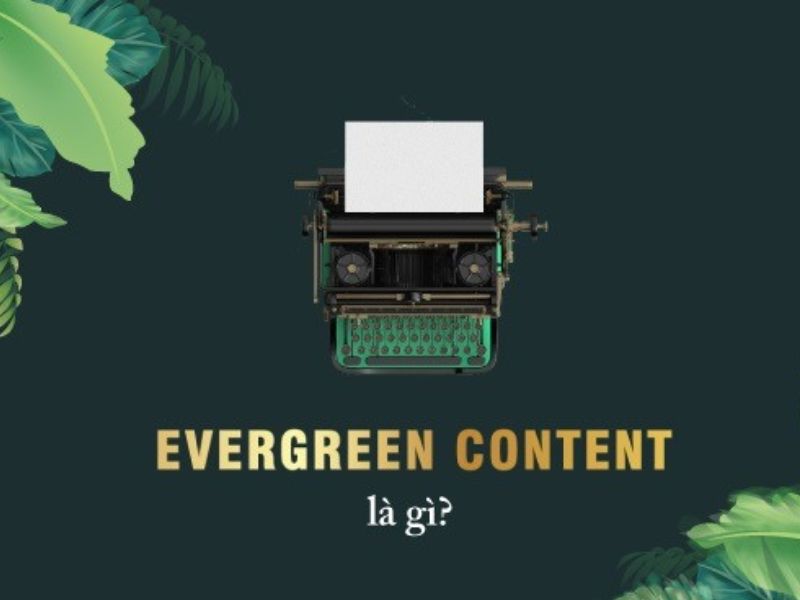 Evergreen là gì? Bí quyết xây dựng evergreen content 2023