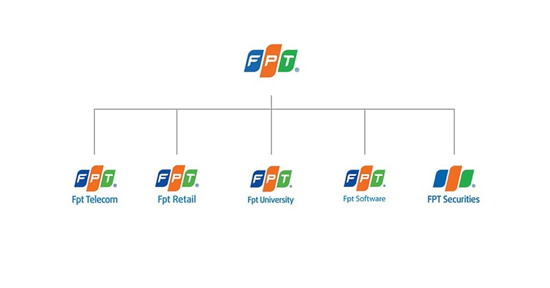 cấu trúc của FPT